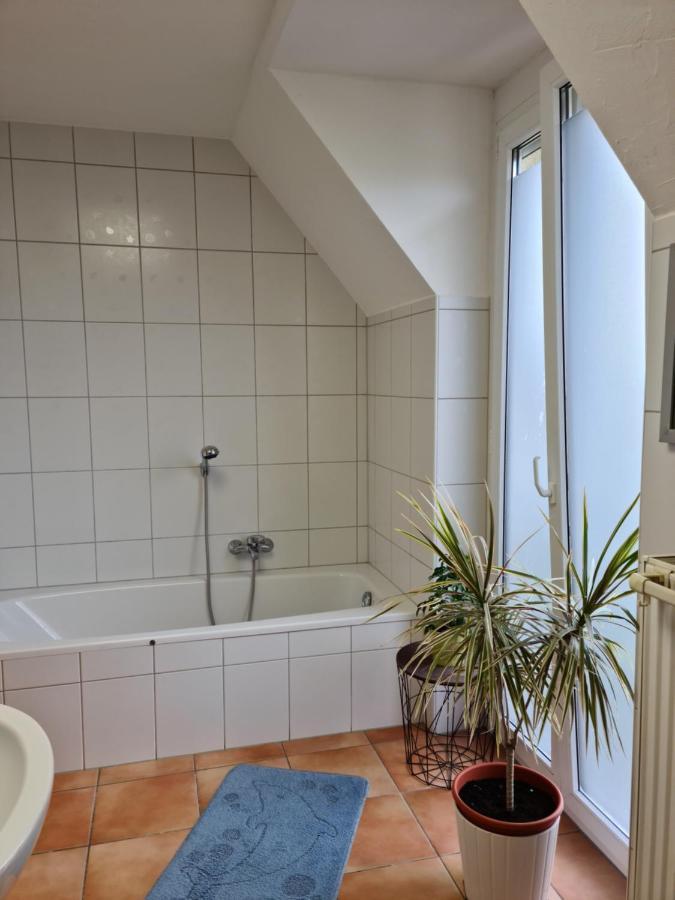 Lichtdurchflutetes Zimmer - Kaeppele Waldbuttelbrunn Extérieur photo